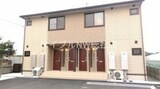 シンシアナガセ