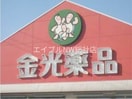 金光薬品児島柳田店(ドラッグストア)まで995m ラフォーレ阿部　Ａ棟