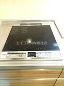  ケイマイティ　Ⅱ