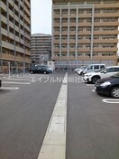  ケイマイティ　Ⅱ