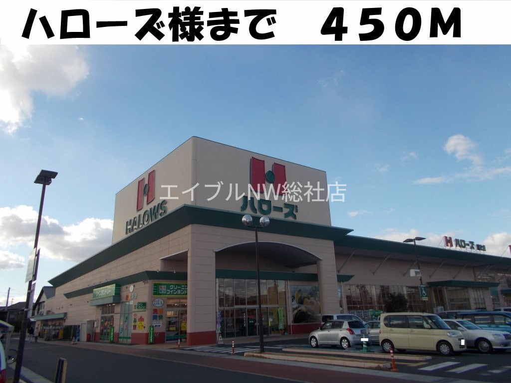 ハローズ(スーパー)まで450m ニューシティヒラタＡ