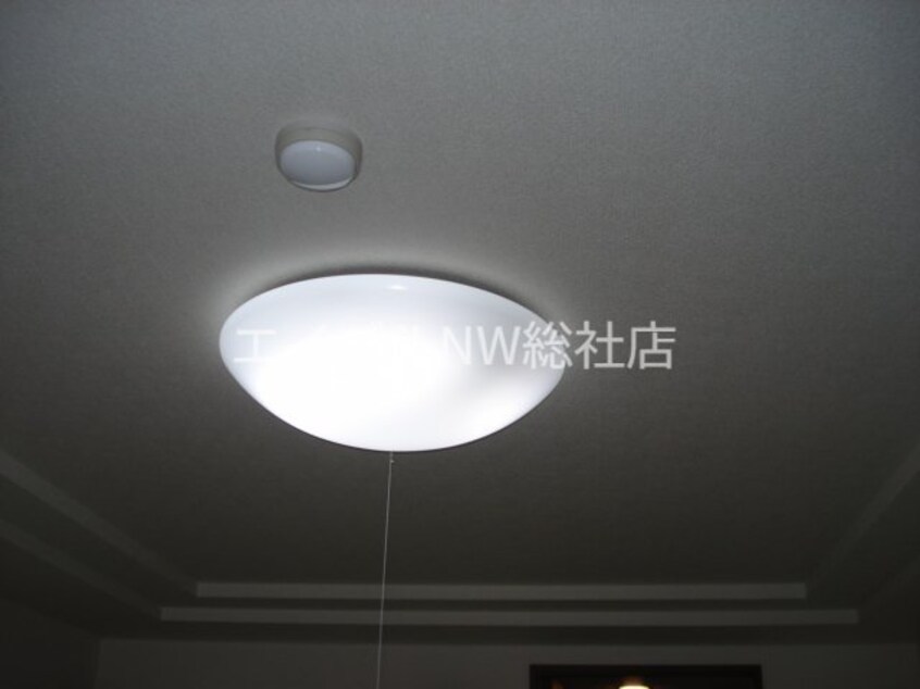  ライブフォース