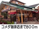 コメダ珈琲店(その他飲食（ファミレスなど）)まで800m ソレイユメゾン