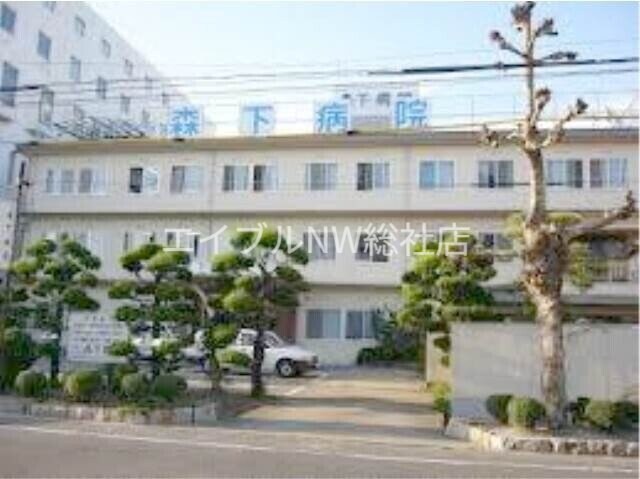 医療法人仁徳会森下病院(病院)まで775m Solent