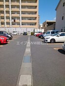  ケイマイティ