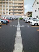  ケイマイティ