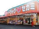 ドラッグセガミ庭瀬店(ドラッグストア)まで344m クレイノステラ　庭瀬
