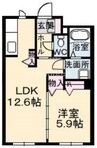 ディマーネ 1LDKの間取り