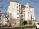 医療法人誠和会倉敷紀念病院(病院)まで969m アリビオ　２５