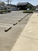  チェリーフレグランス