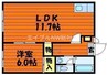 グリーンピア来夢 1LDKの間取り