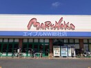 マルナカ総社店(スーパー)まで3300m プラシードＡ