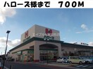 ハローズ総社店(スーパー)まで700m ブリアンＨＭ　Ｂ棟