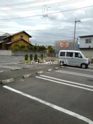  プラシード・Ｔ