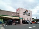 ザグザグ児島柳田店(ドラッグストア)まで250m ココン