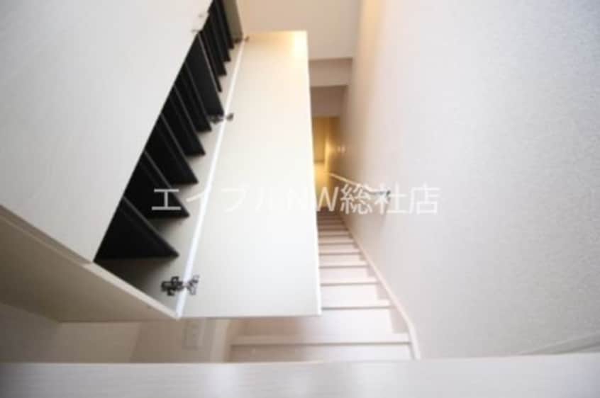  ベイコート　マビ