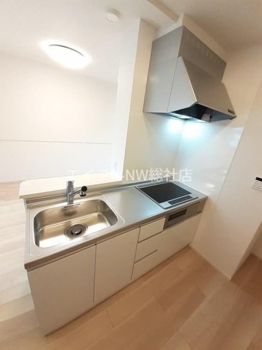  アイリス　パディ