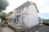 アンジェリーク吉田B