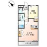ヴィーブライト 1LDKの間取り