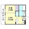 プレミアムコート乙島 1LDKの間取り