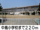 中島小学校(小学校)まで220m スーパーブライフ中島