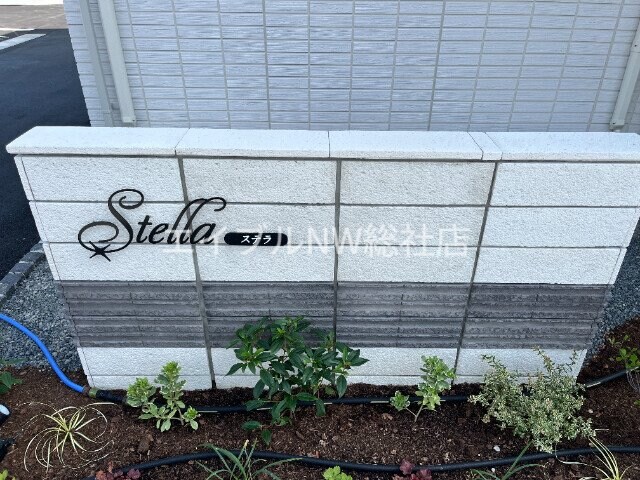  ステラ