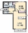 ラシアス 1LDKの間取り
