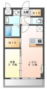 サクラヒルズ 1LDKの間取り