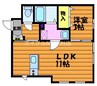 PURA　VIDA！ 1LDKの間取り