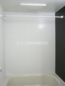 ケイマイティ　Ⅱ