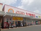 ゲオ茶屋町店(ビデオ/DVD)まで500m ハピネスⅠ