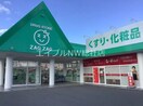 ザグザグ西阿知店(ドラッグストア)まで1000m ピアチェーレ