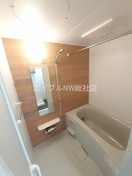  ヴィーナス　Ｂ