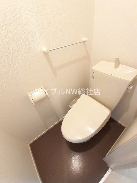  ヴィーナス　Ｂ