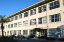 倉敷市立中洲小学校(小学校)まで489m ウィンディア水江　A棟