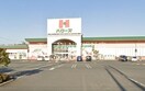 ハローズ乙島店(スーパー)まで636m カーサ・フェリーチェ　F棟