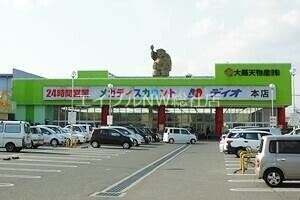 ディオ玉島店(スーパー)まで597m カーサ・フェリーチェ　K棟