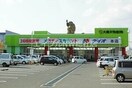 ディオ玉島店(スーパー)まで597m カーサ・フェリーチェ　K棟
