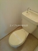  メープルピュア
