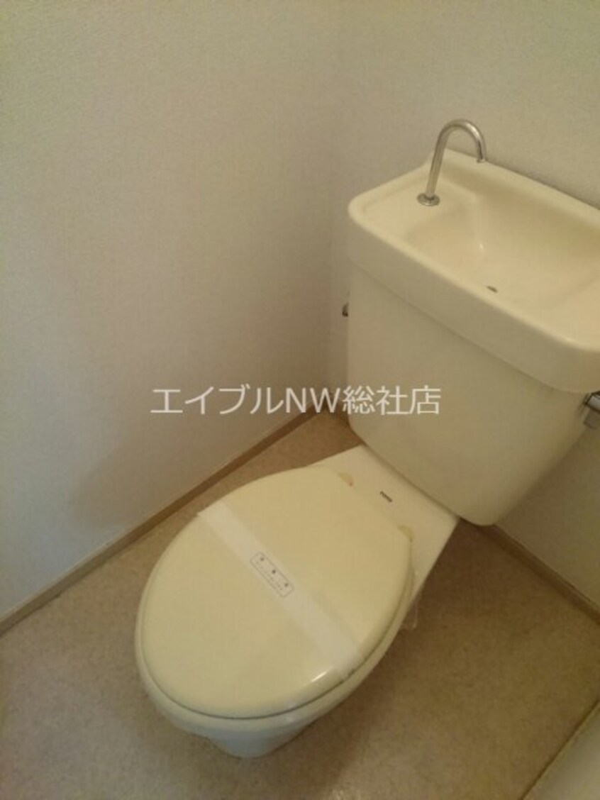  メープルピュア