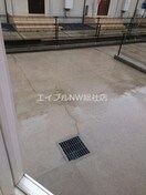  メープルピュア