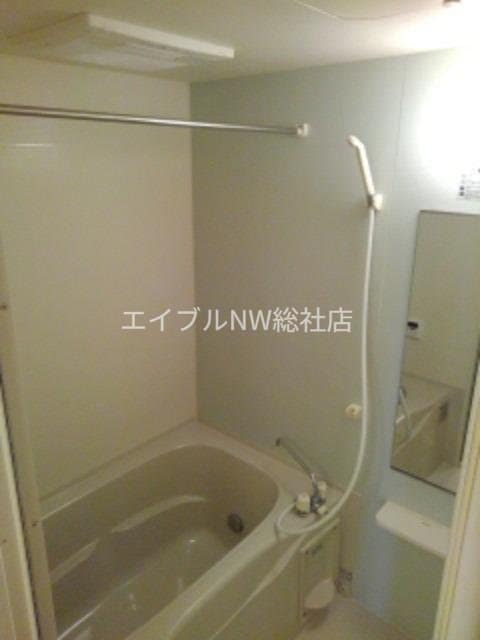  プラシード・Ｔ