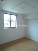  プラシード・Ｔ