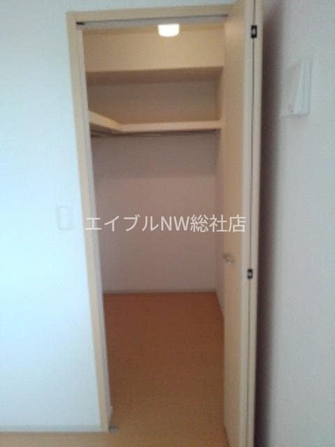  プラシード・Ｔ