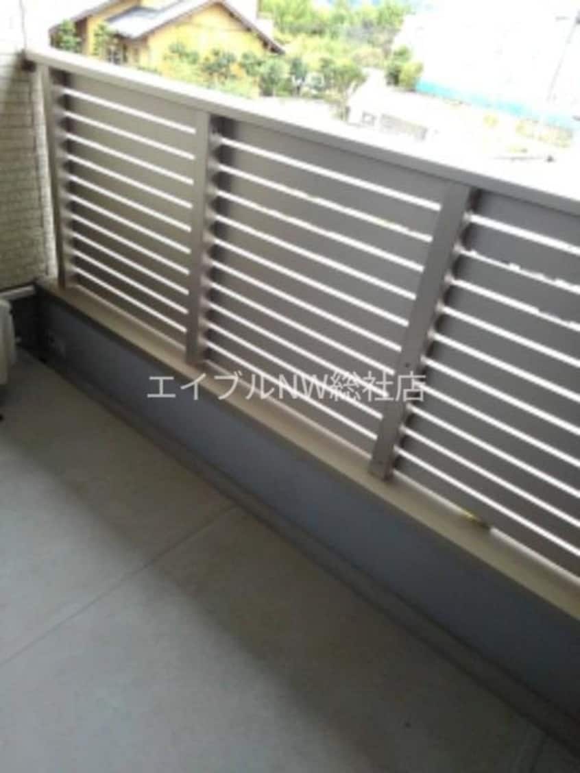  プラシード・Ｔ