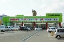 ディオ玉島店(スーパー)まで925m コン・ブリオ