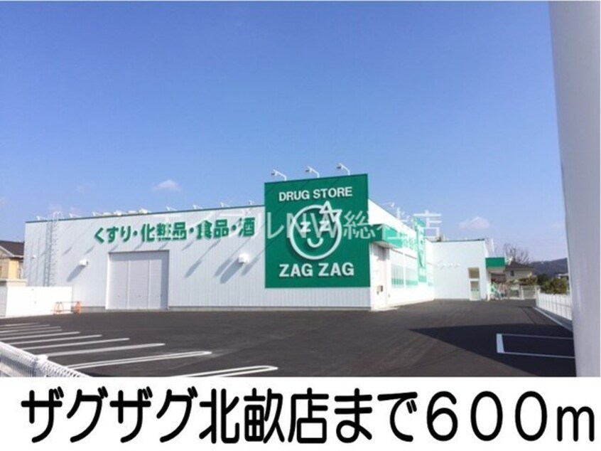 ザグザグ北畝店(ドラッグストア)まで600m ディリジェント　サユリ　Ｂ