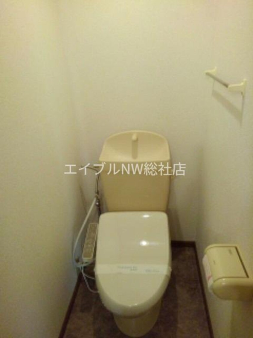  プラティ－ヌＫ．Ｃ