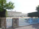 倉敷市立第五福田小学校(小学校)まで540m アメニティ－１４１　Ａ