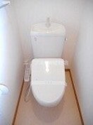  プリムローズ　Ｂ